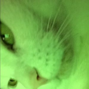 Meet your Posher, Tracy